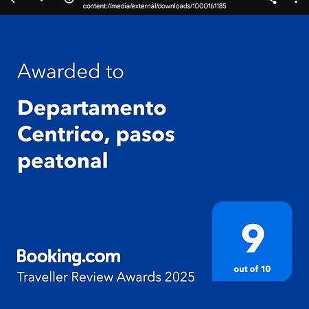 Departamento Centrico, Pasos Peatonal Apartman Mendoza Kültér fotó
