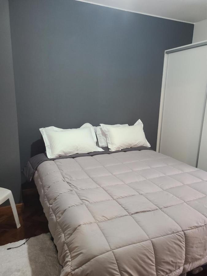 Departamento Centrico, Pasos Peatonal Apartman Mendoza Kültér fotó